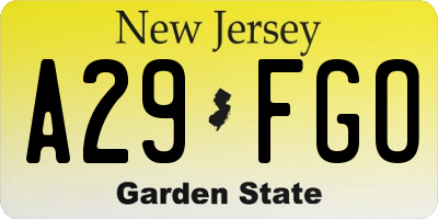 NJ license plate A29FGO