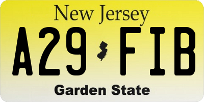 NJ license plate A29FIB