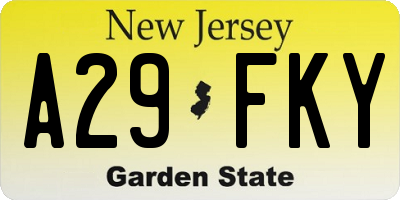 NJ license plate A29FKY