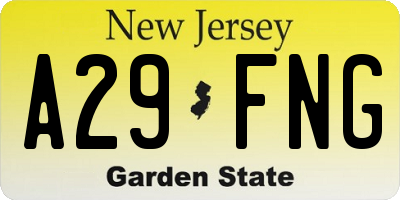 NJ license plate A29FNG