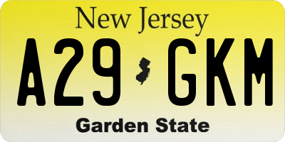 NJ license plate A29GKM