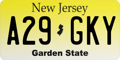 NJ license plate A29GKY