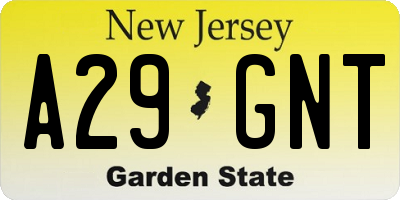 NJ license plate A29GNT