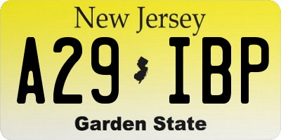 NJ license plate A29IBP