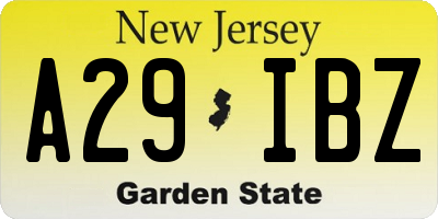 NJ license plate A29IBZ