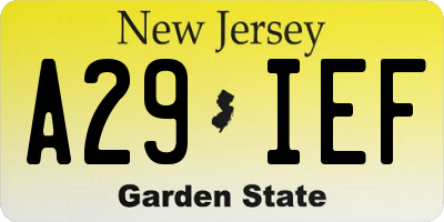 NJ license plate A29IEF