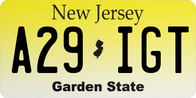 NJ license plate A29IGT
