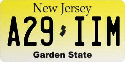 NJ license plate A29IIM