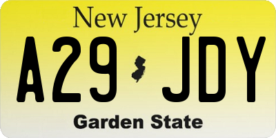 NJ license plate A29JDY