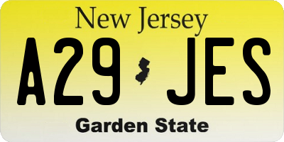 NJ license plate A29JES