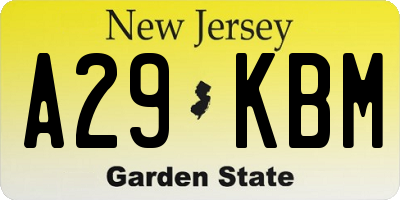 NJ license plate A29KBM