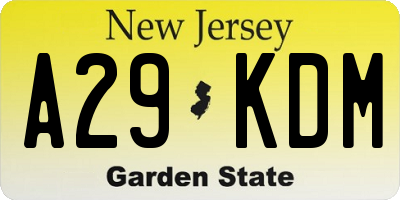 NJ license plate A29KDM