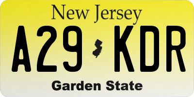 NJ license plate A29KDR