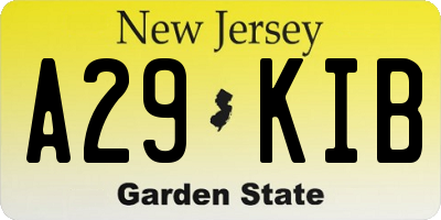 NJ license plate A29KIB
