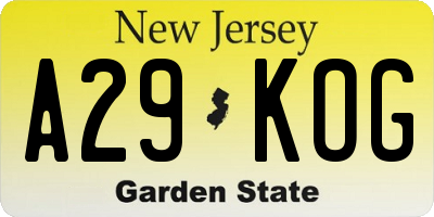 NJ license plate A29KOG