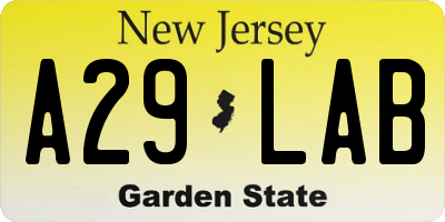 NJ license plate A29LAB