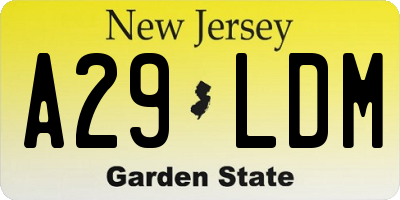 NJ license plate A29LDM