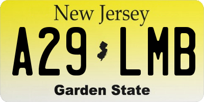 NJ license plate A29LMB
