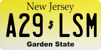 NJ license plate A29LSM