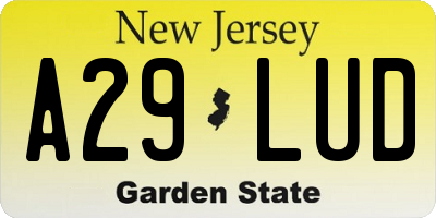 NJ license plate A29LUD