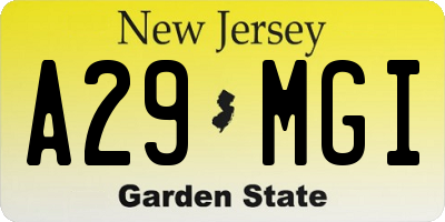 NJ license plate A29MGI
