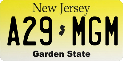 NJ license plate A29MGM