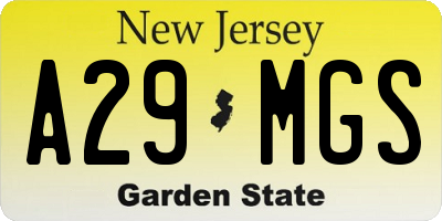 NJ license plate A29MGS