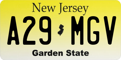 NJ license plate A29MGV