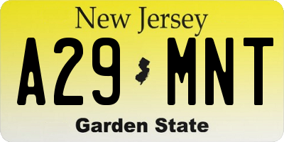 NJ license plate A29MNT