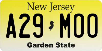 NJ license plate A29MOO