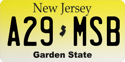 NJ license plate A29MSB