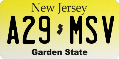 NJ license plate A29MSV