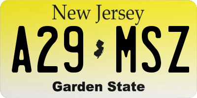 NJ license plate A29MSZ