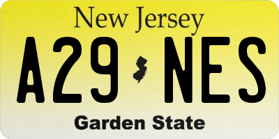 NJ license plate A29NES