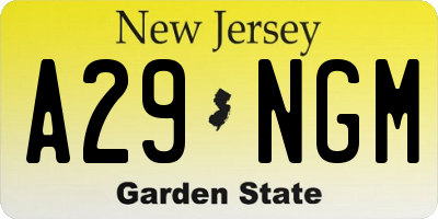 NJ license plate A29NGM