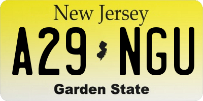 NJ license plate A29NGU
