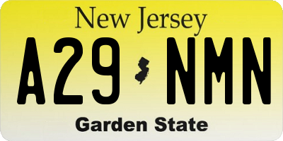 NJ license plate A29NMN