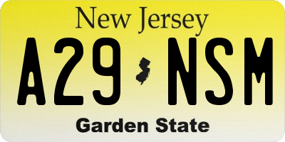 NJ license plate A29NSM