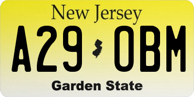 NJ license plate A29OBM
