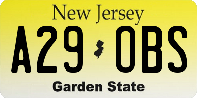 NJ license plate A29OBS