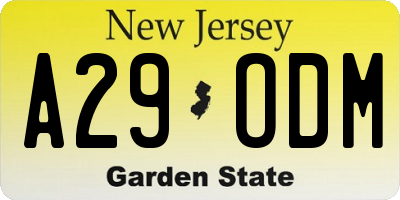 NJ license plate A29ODM
