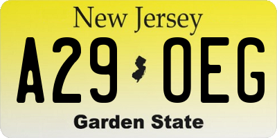 NJ license plate A29OEG
