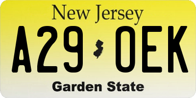 NJ license plate A29OEK