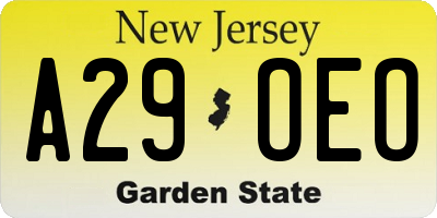 NJ license plate A29OEO