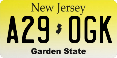 NJ license plate A29OGK