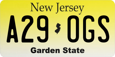 NJ license plate A29OGS