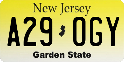 NJ license plate A29OGY