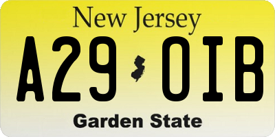 NJ license plate A29OIB