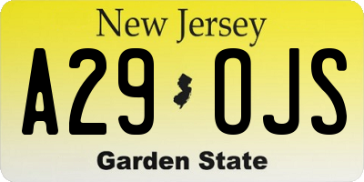 NJ license plate A29OJS