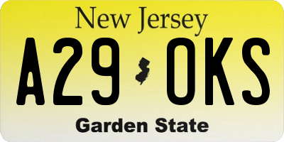 NJ license plate A29OKS